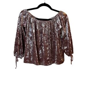 AEO AMERICAN EAGLE OUTFITTERS Mauve Pink Crushed Velvet Off-Shoulder Top